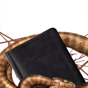 Jehovah's Witness Study Guide by Challenge Press Kindle eBook-0